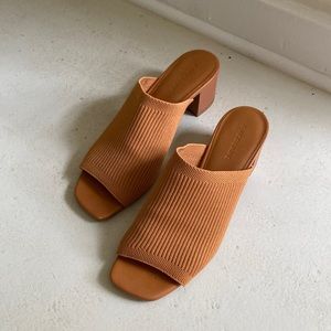 Everlane Block Heel Slides